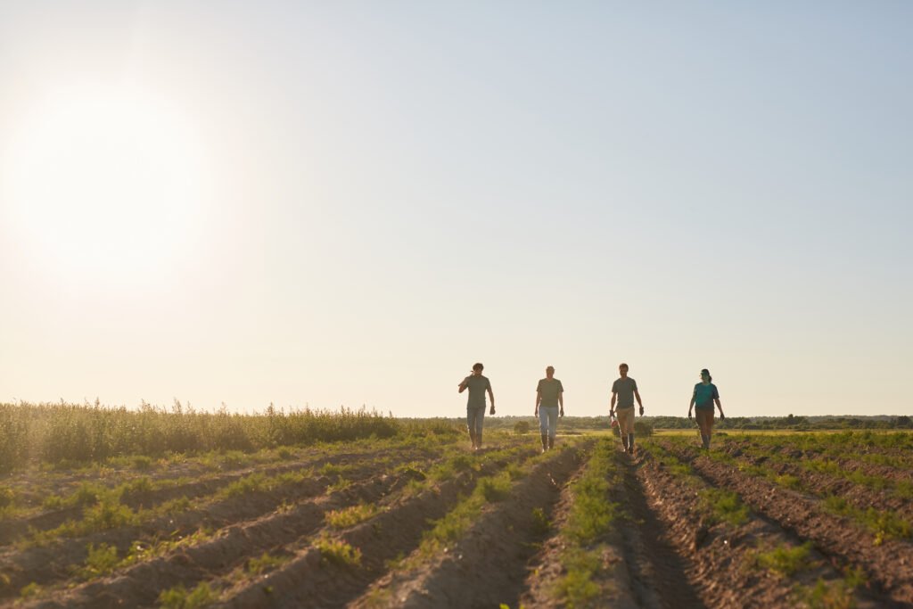 referendum lavoro 2025 risultati