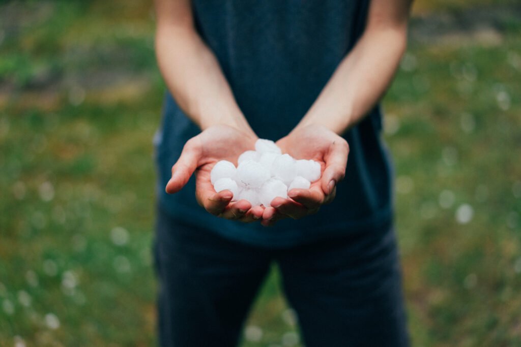 Piano Gestione Rischi Agricoltura