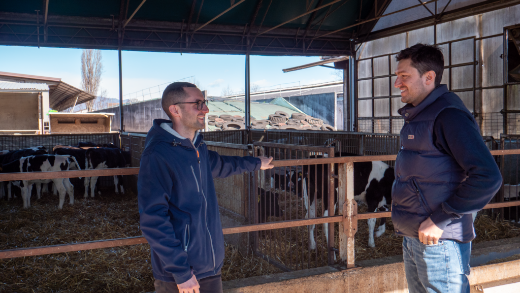 Mirko e Stefano in stalla