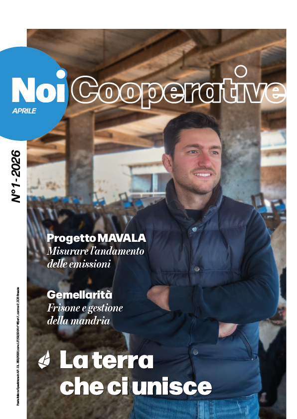 copertina notiziario 1 del 2026, NoiCooperative