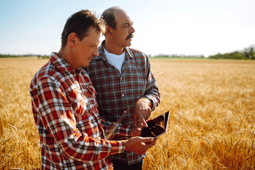 padre e figlio agricoltore in un campo