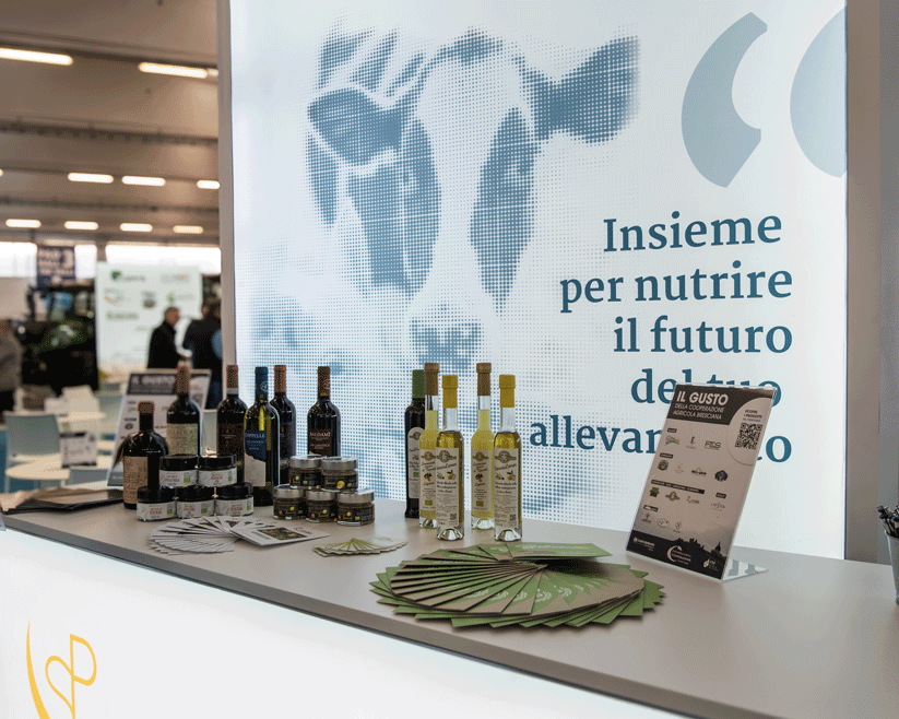 prodotti esposti sul bancone della fazi 2025