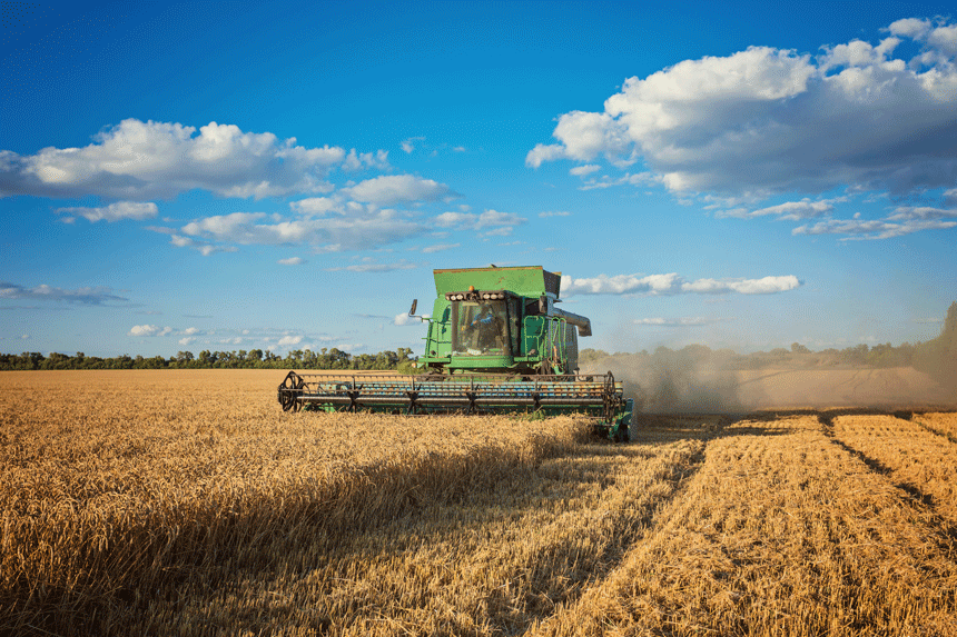 mietitrebbia in un campo